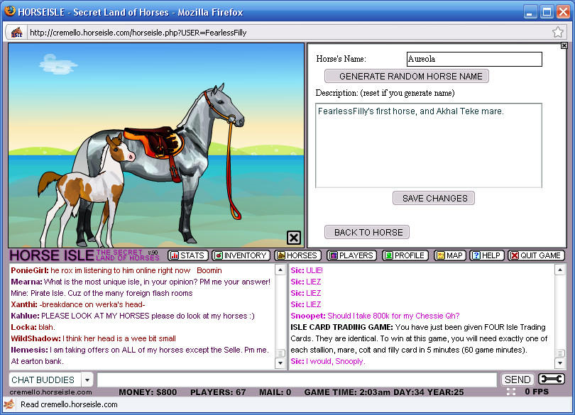 Random horse name generator 10 Fun and Useful Horse Name Generators