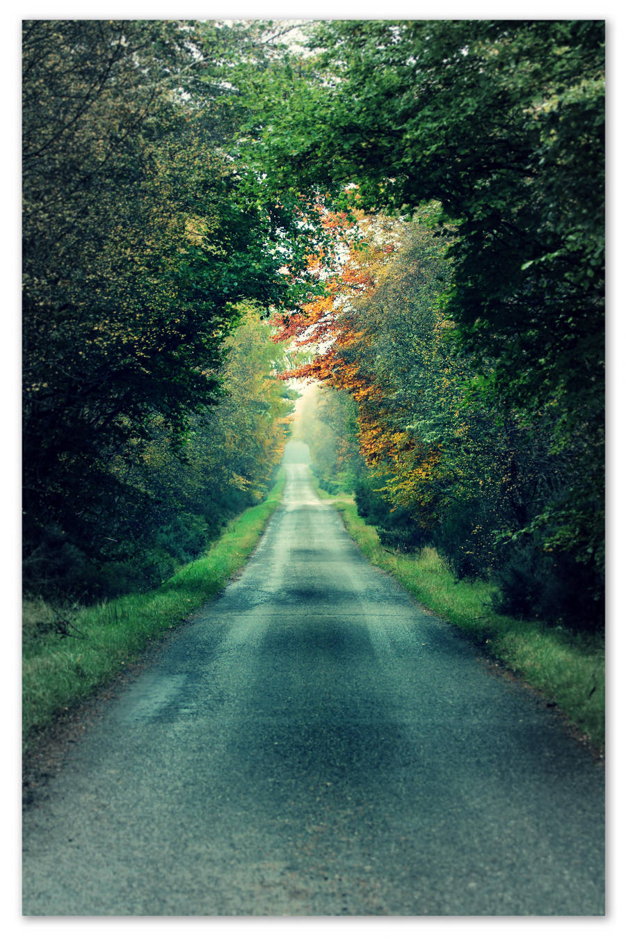 It's a long lonely road to nowhere in particular! by smdesign-photography