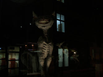 the FAt CAt of CoNsumerISum by originalsyna