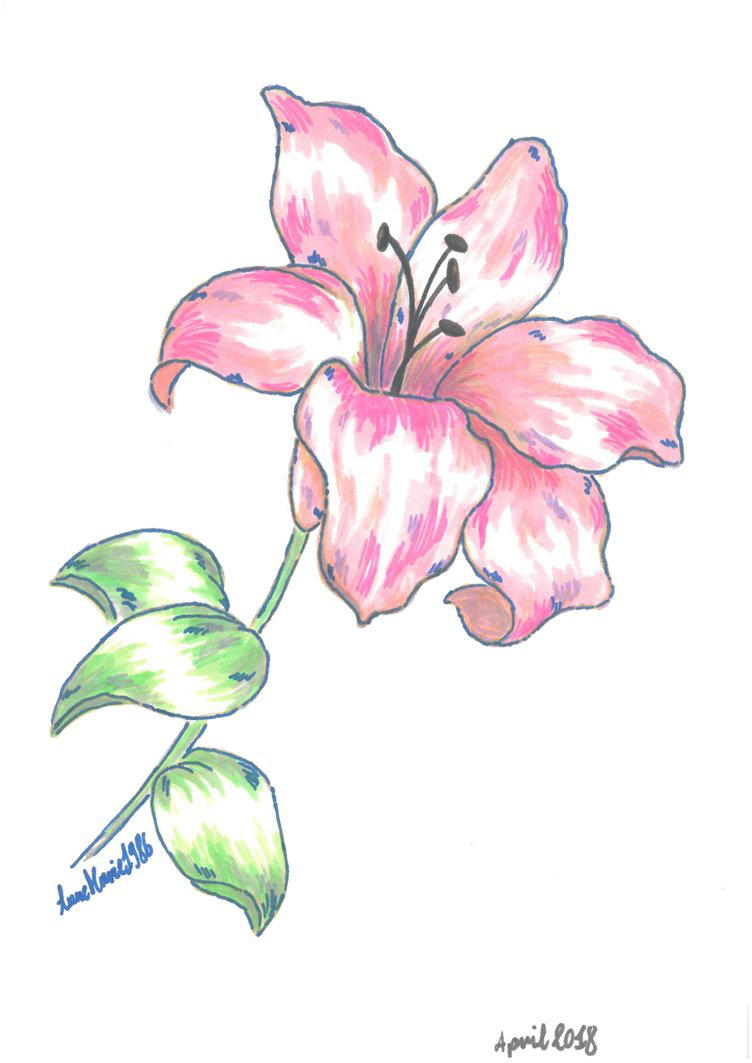 Pink Lily by AnneMarie1986