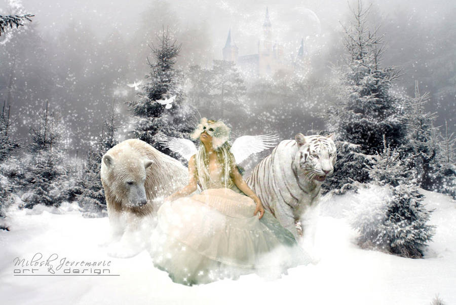 Winter's magic by MiloshJevremovic