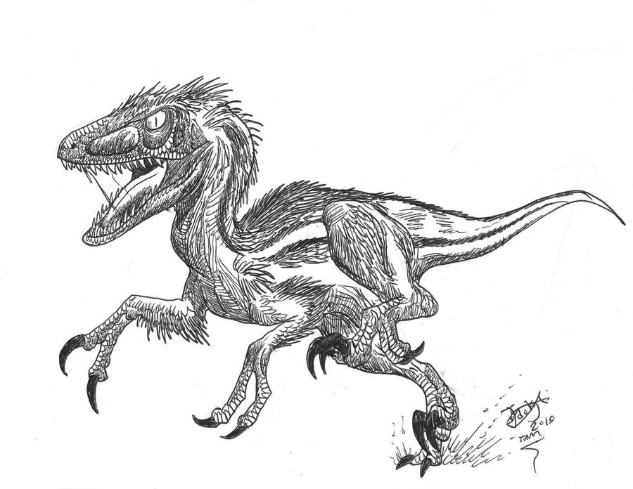 Balaur, double-blade raptor by HodariNundu