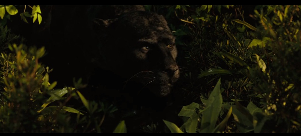 Panther by HodariNundu Panther by HodariNundu
