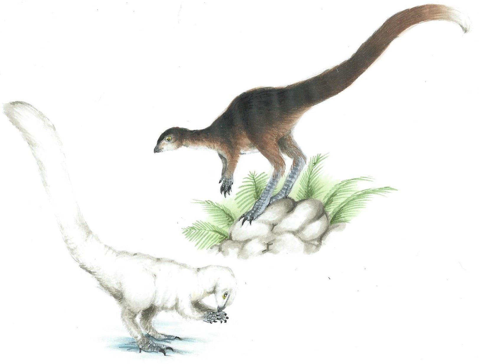 Leaellynasaura amicagraphica by KirbyniferousRegret