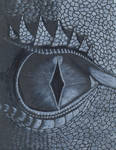 Dragon Eye by asubmarinewinter