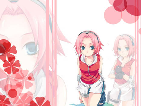 Sakura Chibi Cute Wallpaper By O0tiffany0o On Deviantart