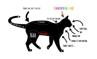 Cat Petting Chart How To Pet Your By Wolf Amaterasu On Deviantart