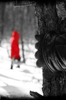 Red Riding Hood by tomcouture