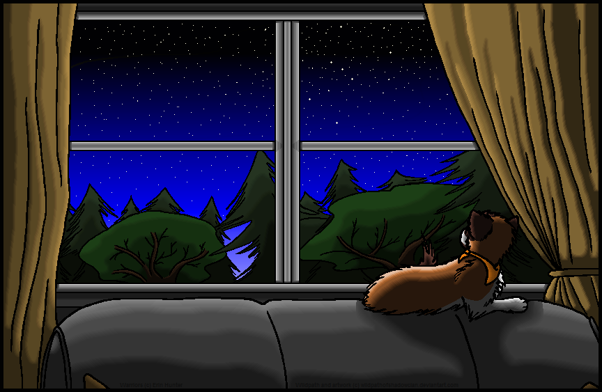 55. Kittypet by WildpathOfShadowClan