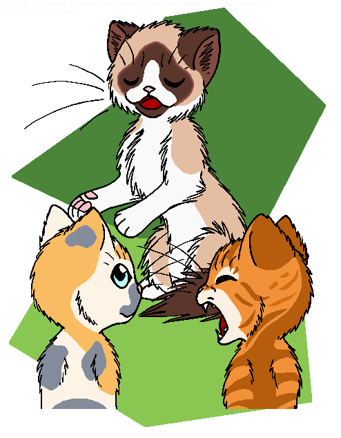 Wildpath's FAQ by WildpathOfShadowClan