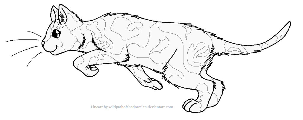 ThunderClan Tortie Lineart 2 by WildpathOfShadowClan