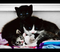 Stop the play by Alephunky