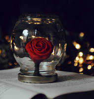 L'amour by Alephunky