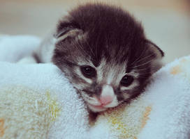 Soul eyes by Alephunky