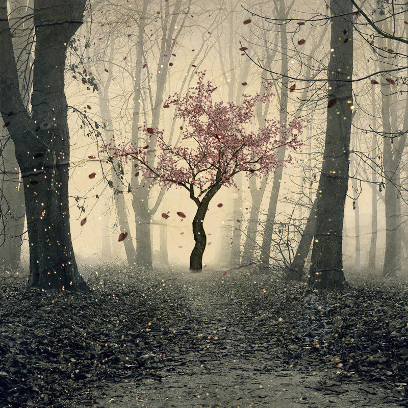 tree by puppet-soul