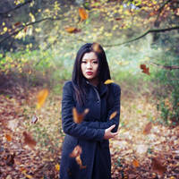 Autumn Clearing by sam--cam