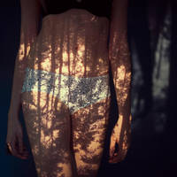 The Forest by sam--cam