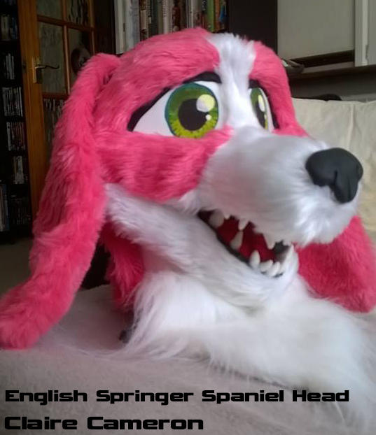 English Springer Spaniel Head by Vixen-T-Fox