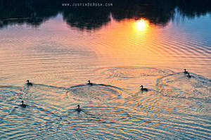 We're Going Together by JustinDeRosa