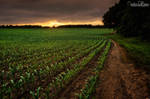 Rolling Fields by JustinDeRosa