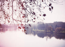 A l'ombre de l'automne. by Feelonia