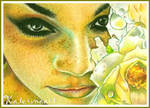 SeaRose Beauty - ACEO by Katerina-Art