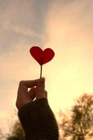 heart in the sky by xxOneLove