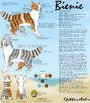 Bienie Reference Sheet 4 by SpitfiresOnIce