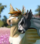 Currently in denial by SpitfiresOnIce