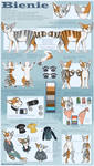 Bienie Reference Sheet 8 by SpitfiresOnIce