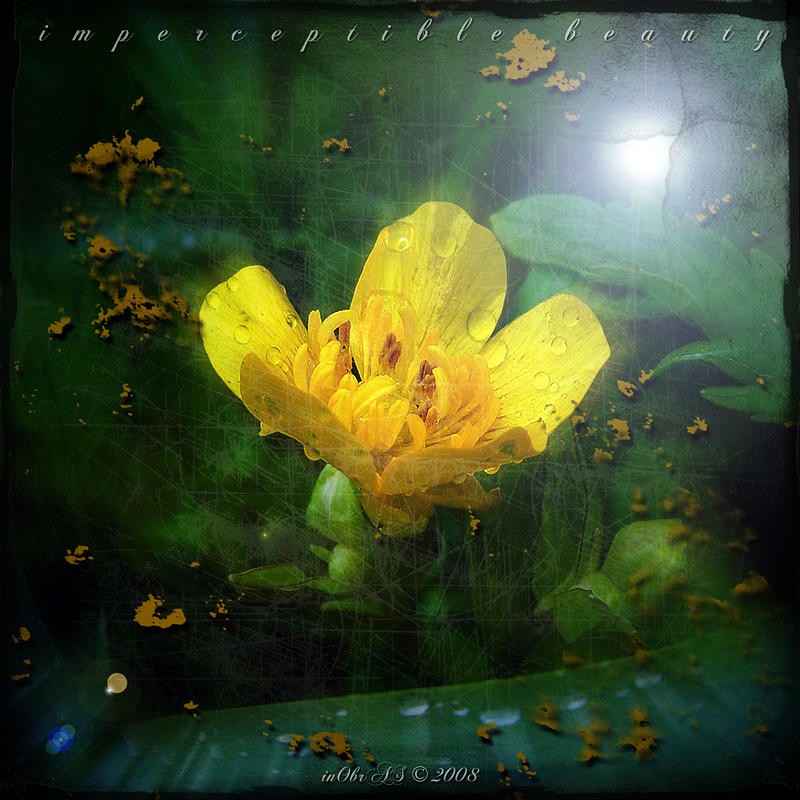 Imperceptible Beauty 2 by inObrAS