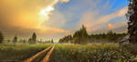 The way home by inObrAS