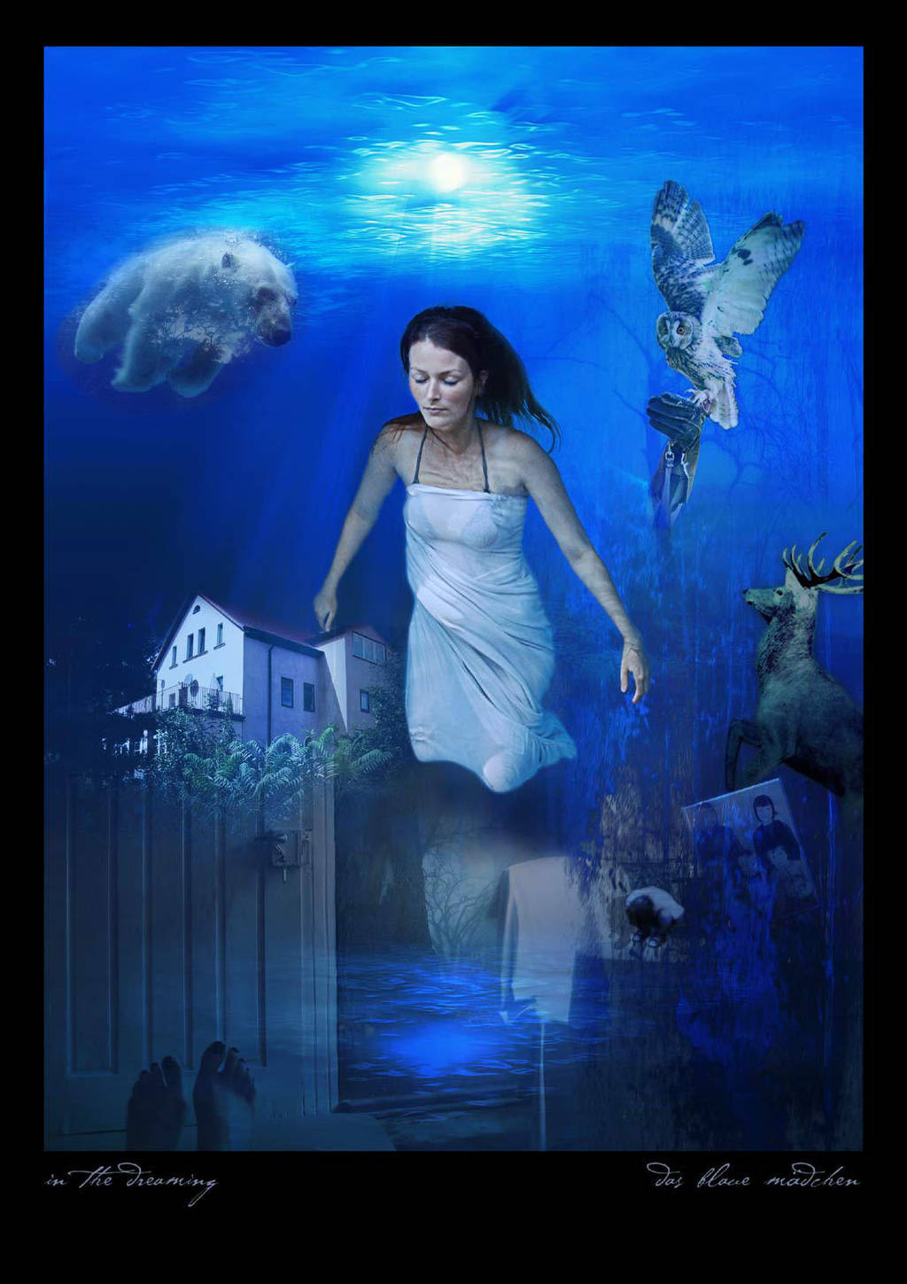 in the dreaming by bluemacgirl