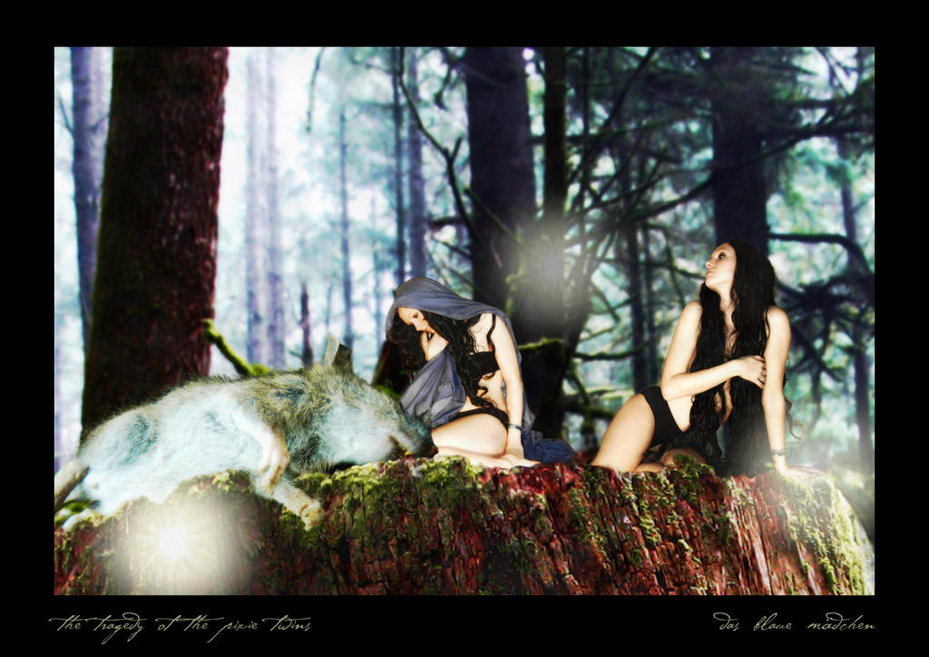 the tragedy of the pixie twins by bluemacgirl