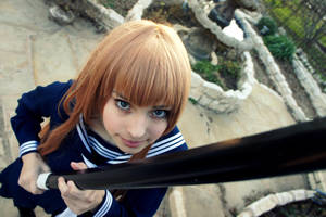 Wrath of Taiga by DascocoCosplay