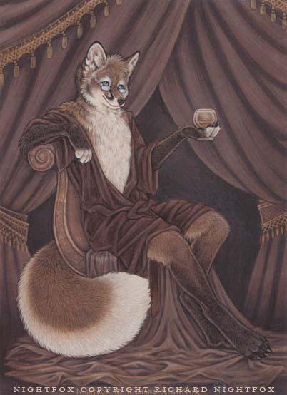 Nightfox by darknatasha