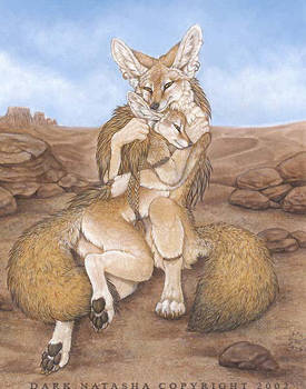 Desert Charm by darknatasha