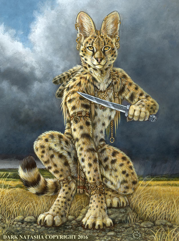 Heart Of A Warrior by darknatasha