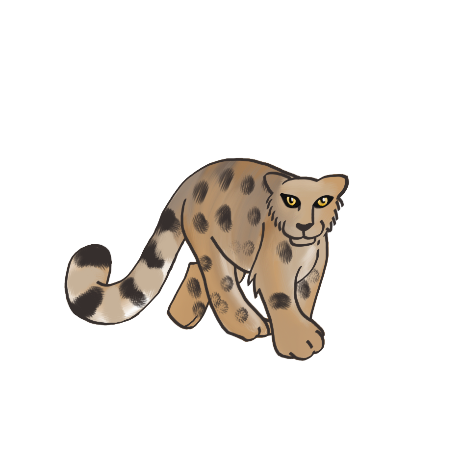 Snow Leopard - WIP by Nailkita