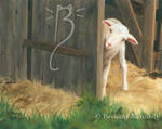 Peeking Lamb by FuzzyCreaturePainter