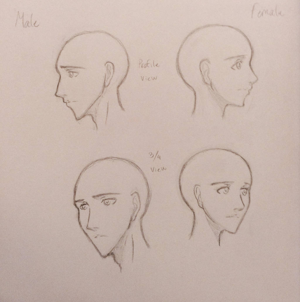 Manga Head angles reference by MusicFreak8800 on DeviantArt