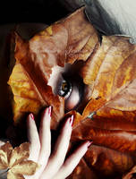 Hiding by KimJSinclair