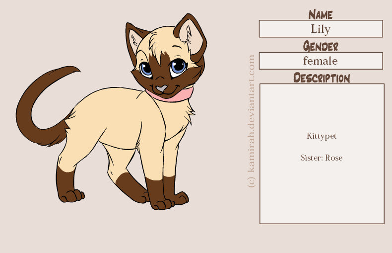 Warriors Lily by MarauderWolf93 on DeviantArt