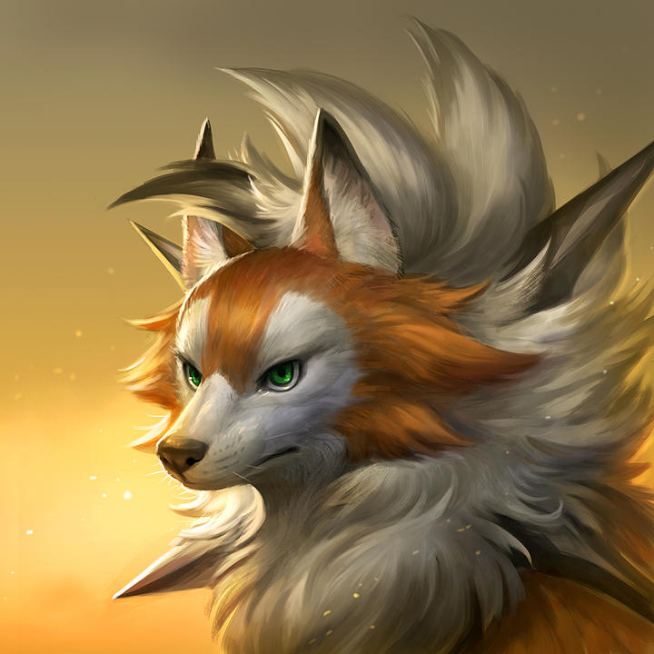 pokemon dog dusk lycanroc pokemon dog dusk lycanroc