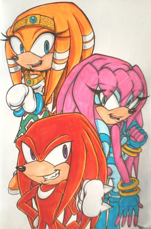 Three Echidnas (Coloured) by Sky-The-Echidna