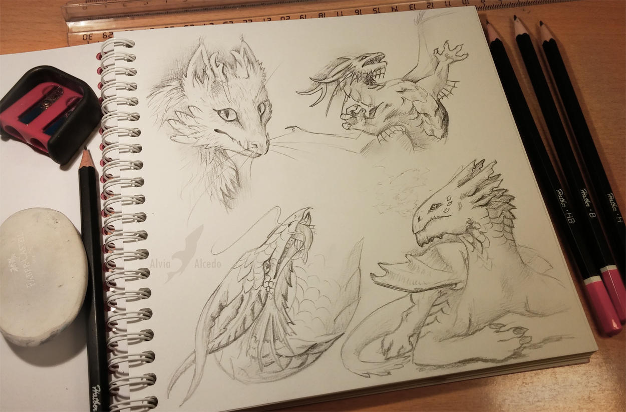 Dragon types by AlviaAlcedo