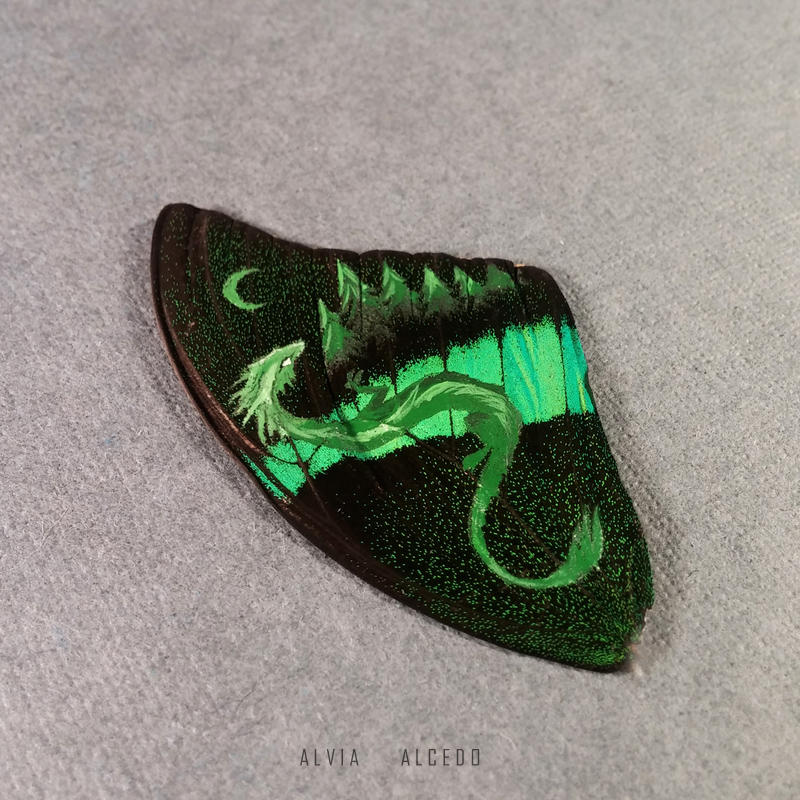 Butterfly wing by AlviaAlcedo