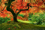 Japanese Autumn by La-Vita-a-Bella