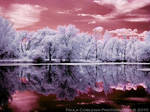 Dreaming Ultraviolet by La-Vita-a-Bella