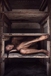 Storage by ArtofdanPhotography